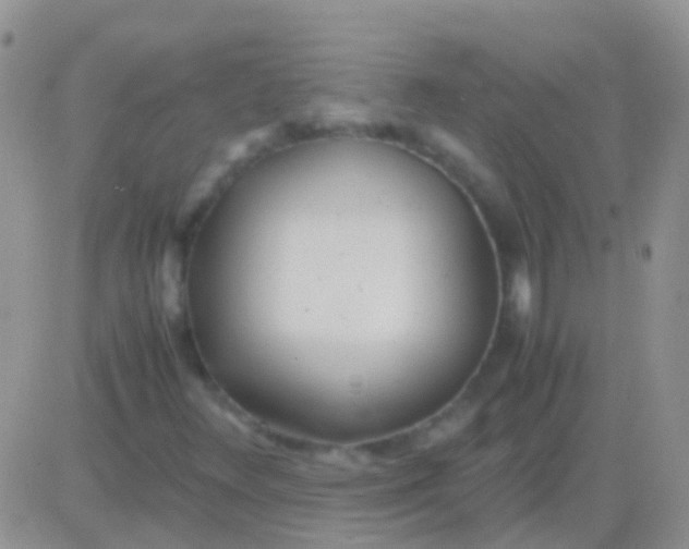 X0000083061348200702232011