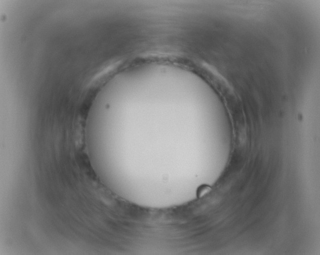 X0000083061350200702232010