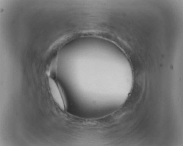 X0000083061351200702232010