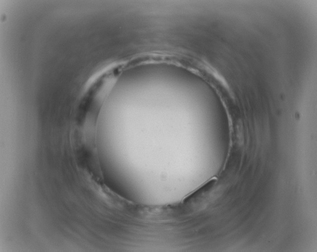 X0000083061352200702232010