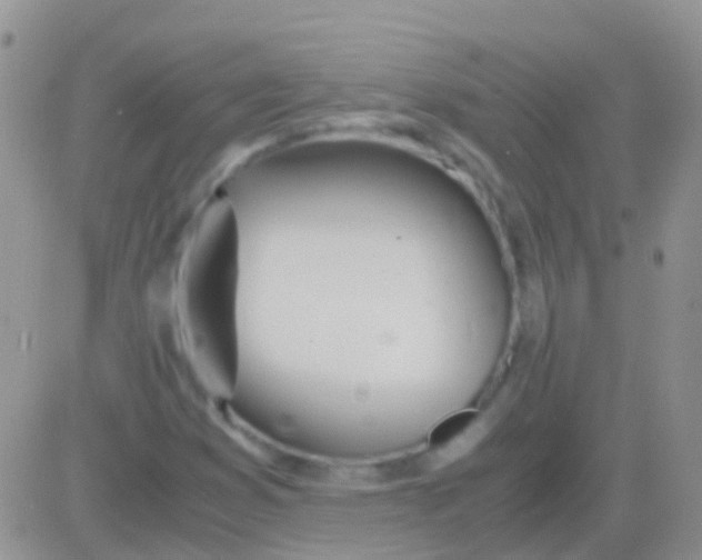 X0000083061353200702232010