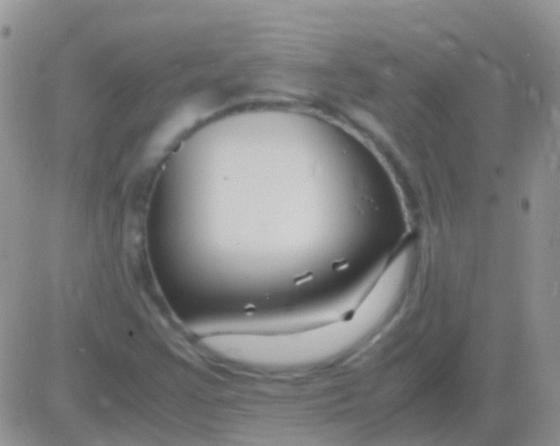 X0000083061355200702232010