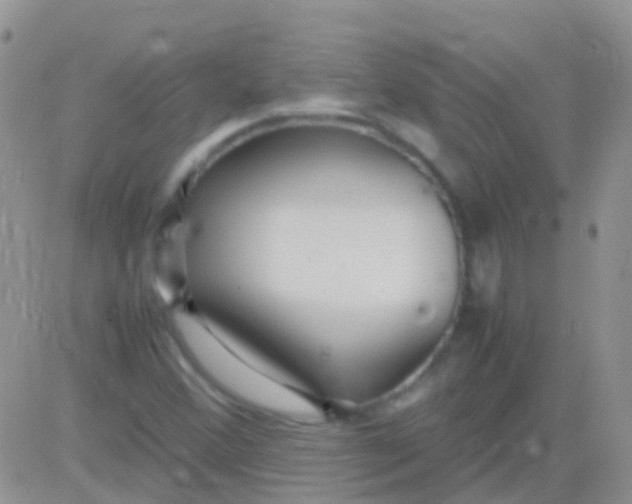 X0000083061356200702232010