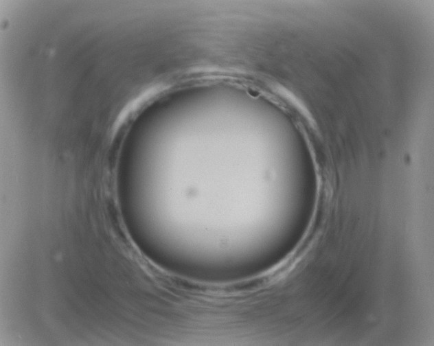 X0000083061357200702232010