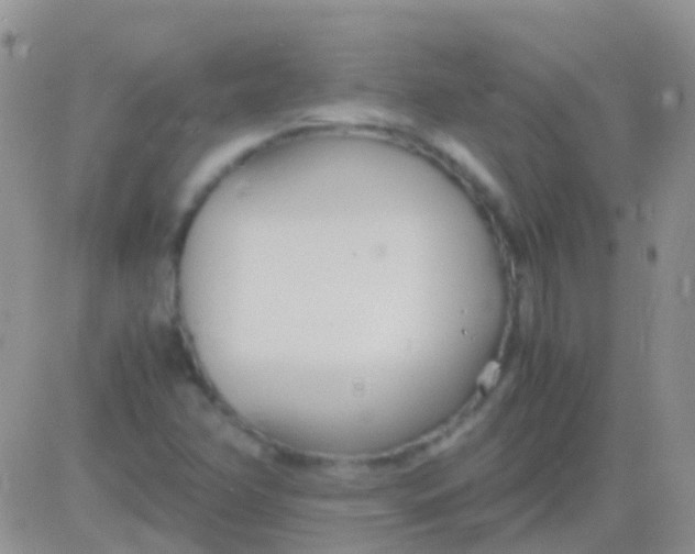 X0000083061358200702232010