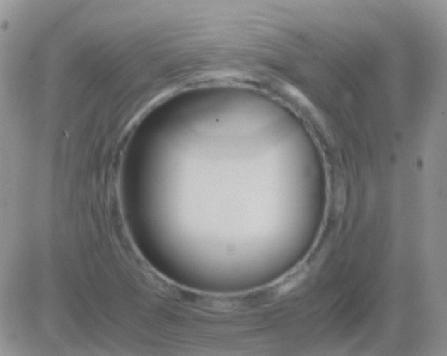 X0000083061361200702232010