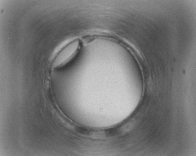 X0000083061363200702232010