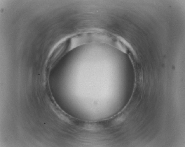 X0000083061364200702232010