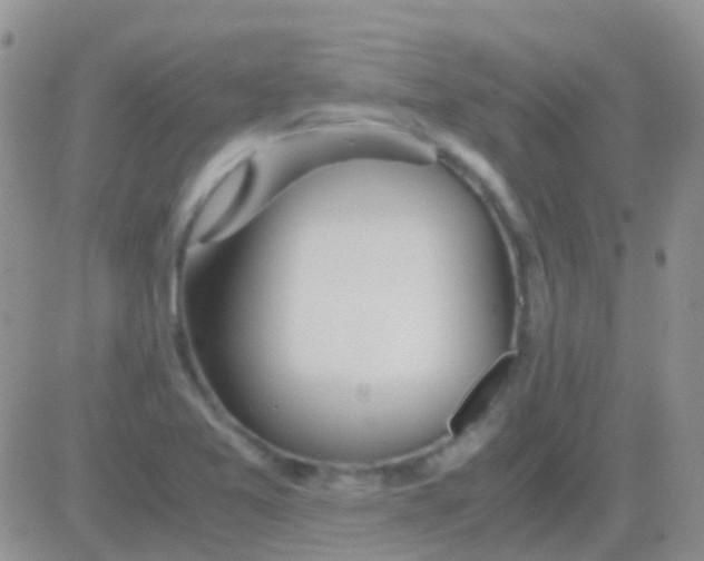 X0000083061365200702232010