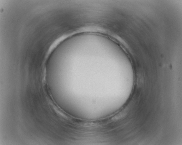 X0000083061366200702232010