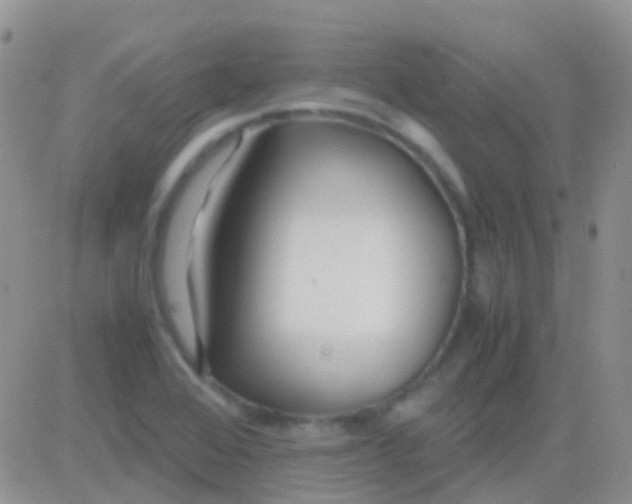 X0000083061368200702232010