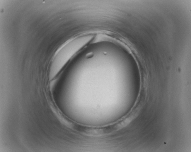 X0000083061369200702232010