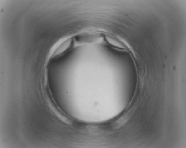 X0000083061371200702232010