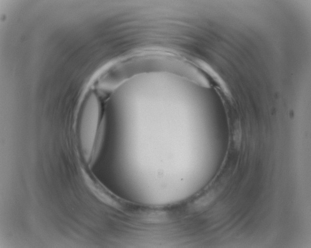 X0000083061372200702232010