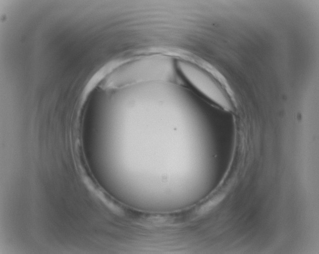 X0000083061373200702232010