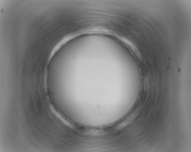 X0000083061374200702232010