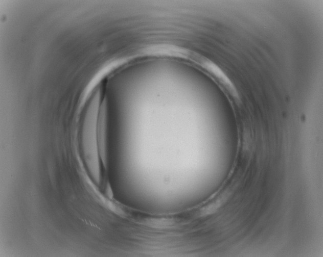 X0000083061376200702232010