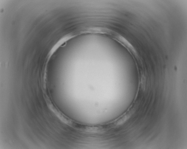 X0000083061378200702232010