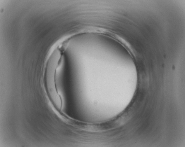 X0000083061379200702232010