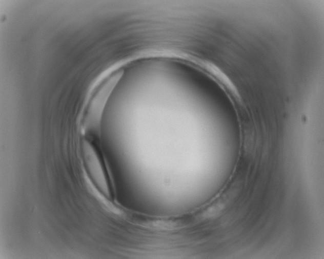 X0000083061380200702232010