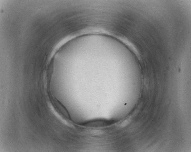 X0000083061382200702232010