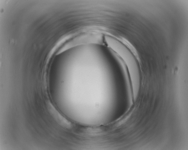 X0000083061384200702232010