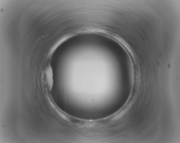 X0000083061385200702232010