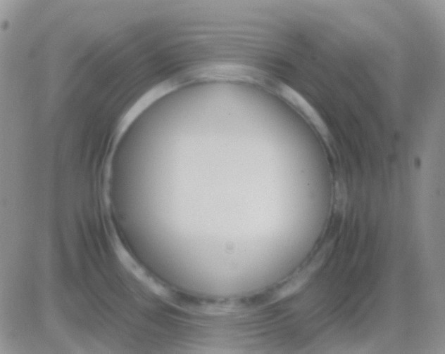 X0000083061386200702232010