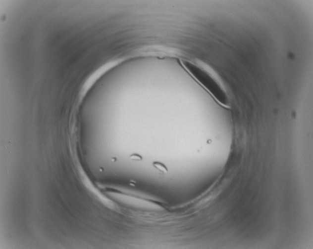 X0000083061387200702232010