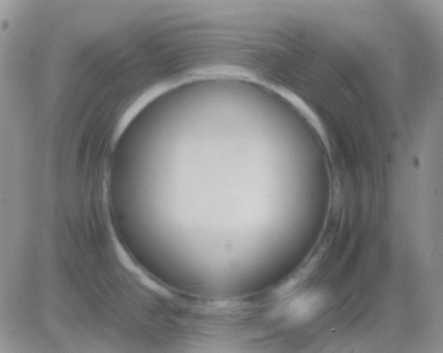 X0000083061390200702232010