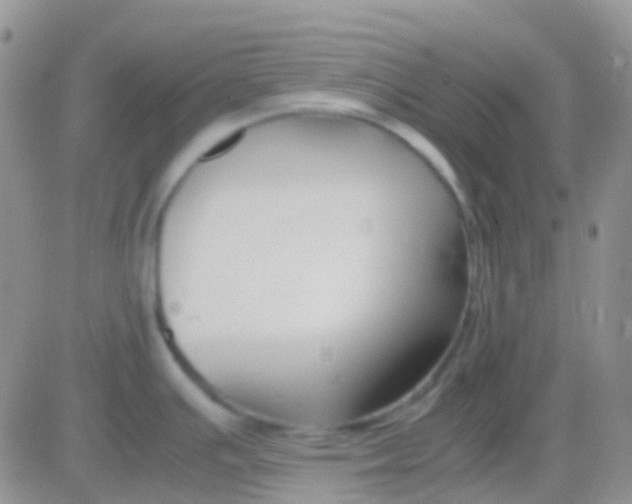 X0000083061391200702232010