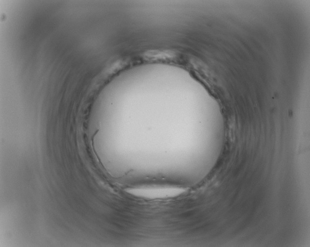 X0000083061393200702232009