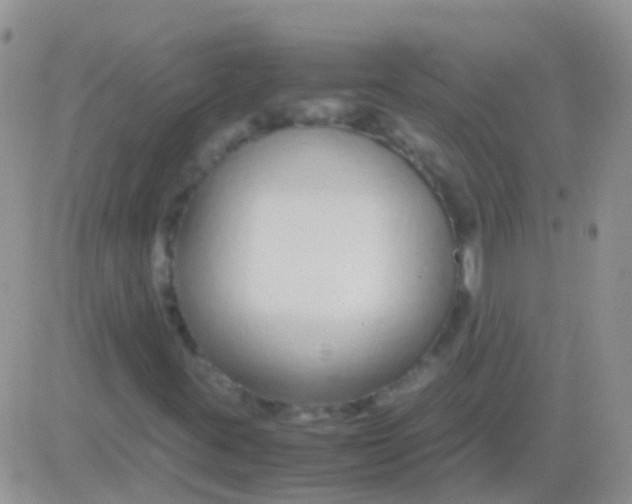 X0000083061395200702232009