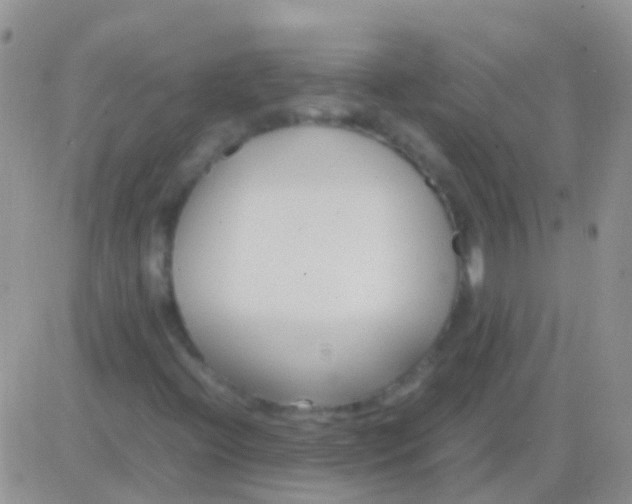 X0000083061396200702232009