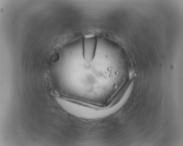 X0000083061397200702232009