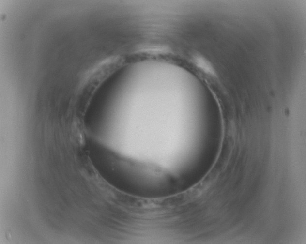 X0000083061398200702232009