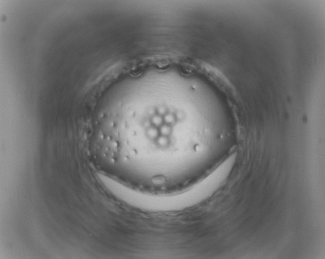 X0000083061399200702232009