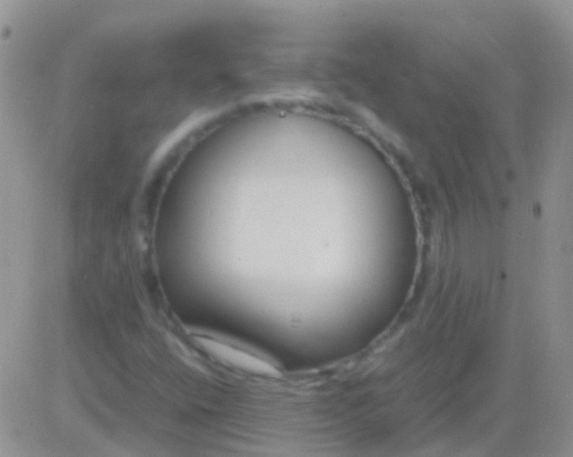 X0000083061400200702232009