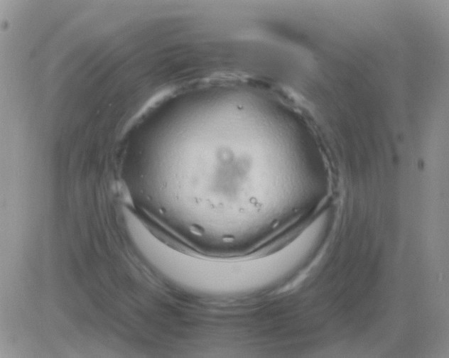 X0000083061401200702232009