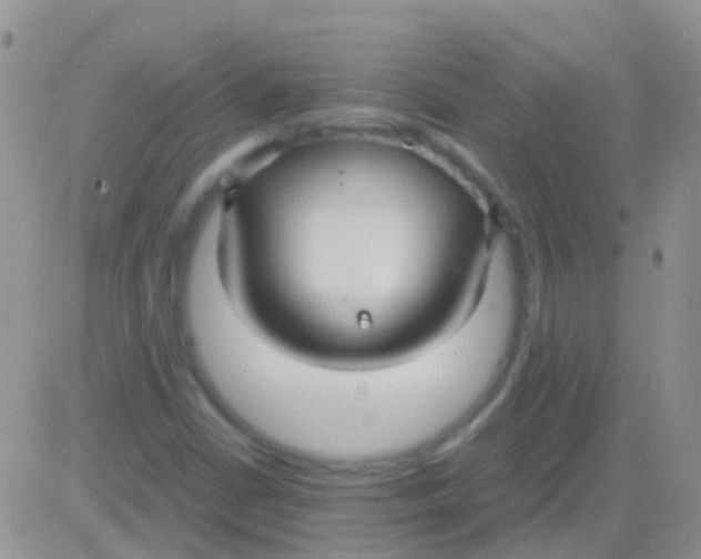 X0000083061402200702232009