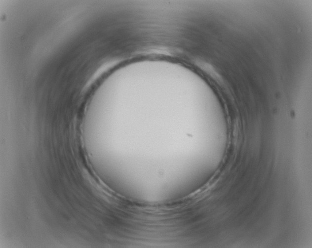 X0000083061404200702232009