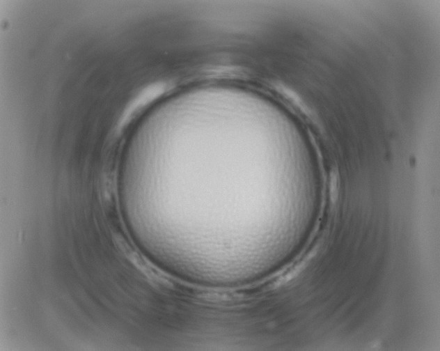 X0000083061405200702232009