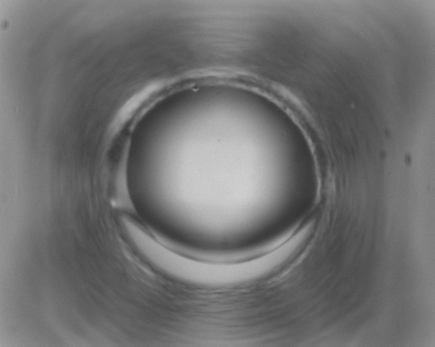 X0000083061406200702232009