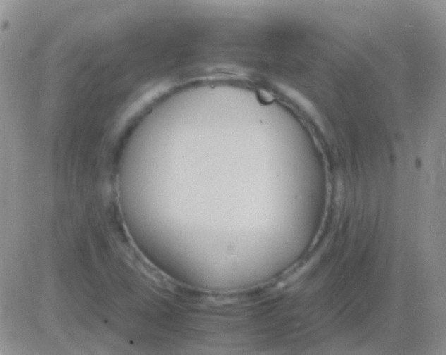 X0000083061407200702232009