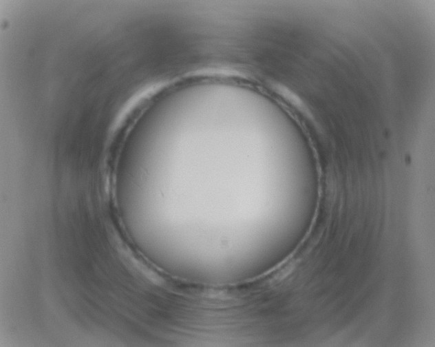 X0000083061408200702232009