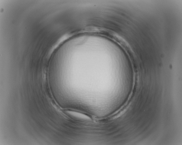 X0000083061409200702232009