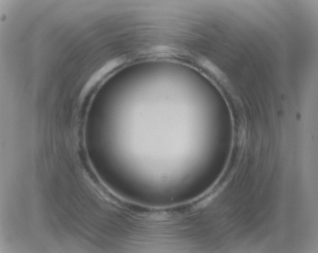 X0000083061410200702232009