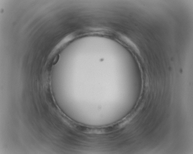 X0000083061411200702232009