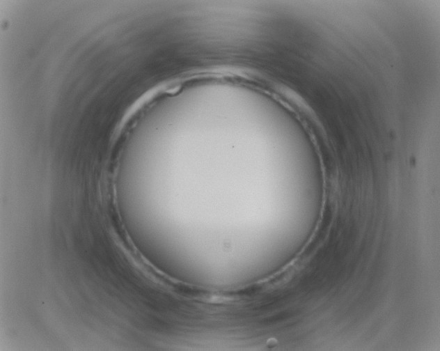 X0000083061412200702232009