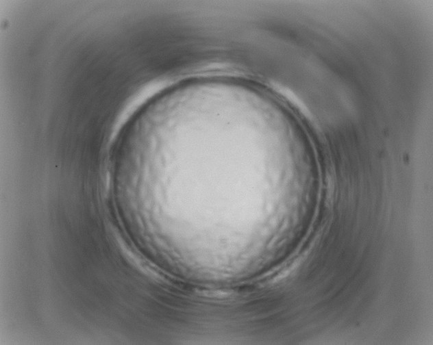 X0000083061413200702232009